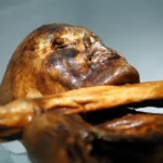 La momia Ötzi en el museo de arqueología de Bolzano (Italia), el 28 de febrero de 2011 (Andrea Solero) (Andrea Solero/AFP/AFP)