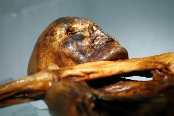 La momia Ötzi en el museo de arqueología de Bolzano (Italia), el 28 de febrero de 2011 (Andrea Solero) (Andrea Solero/AFP/AFP)