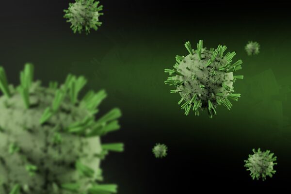 ¿Qué es el hantavirus y cómo prevenir el contagio?