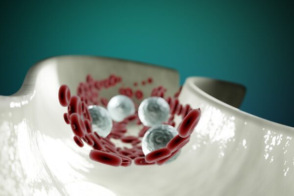 Imgmidi blood cells 6974700