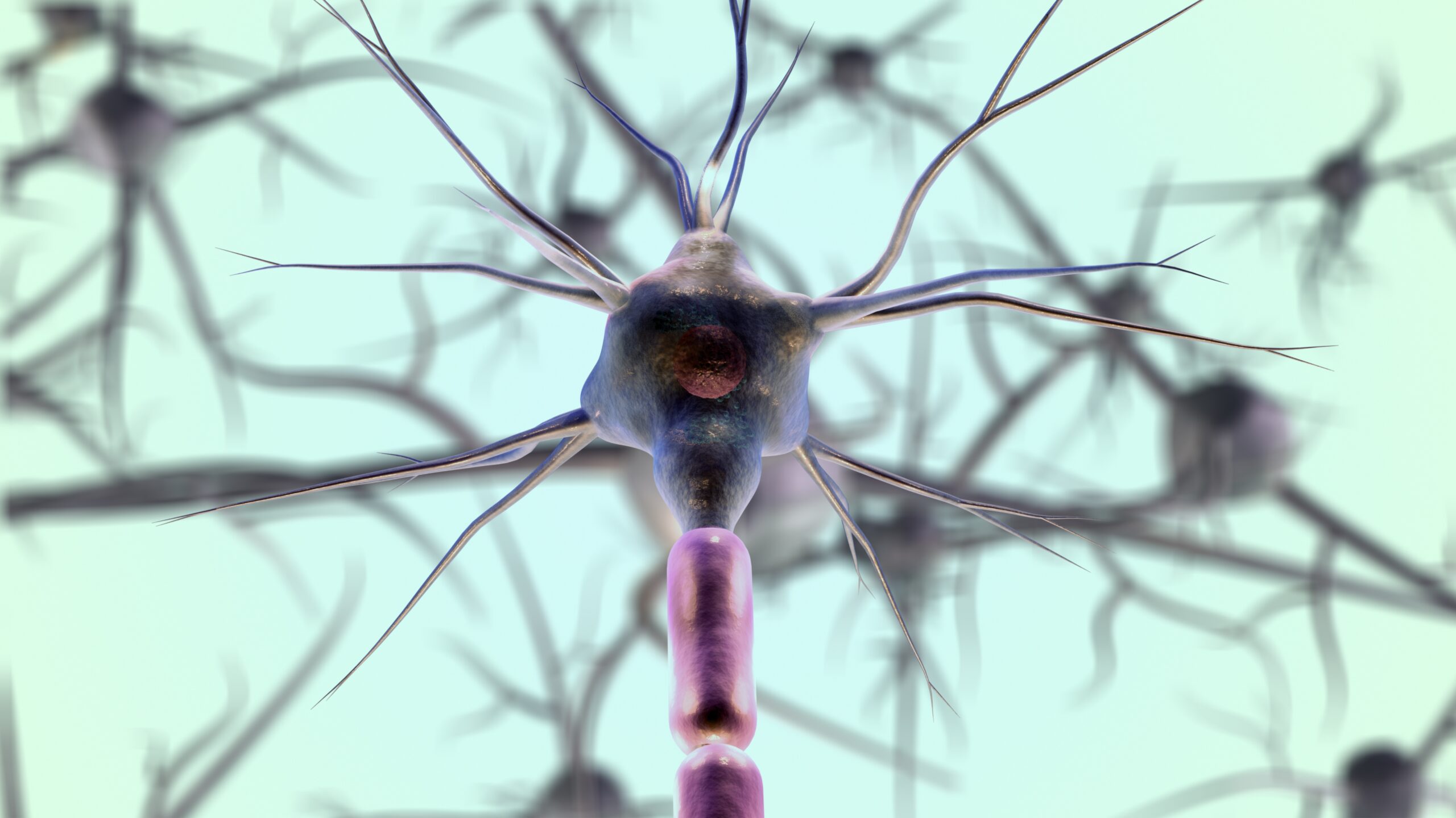 Imgmidi neurons 7079536