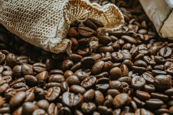 Granos de café venezolano en plantación, sector que busca recuperar su lugar en el mercado mundial