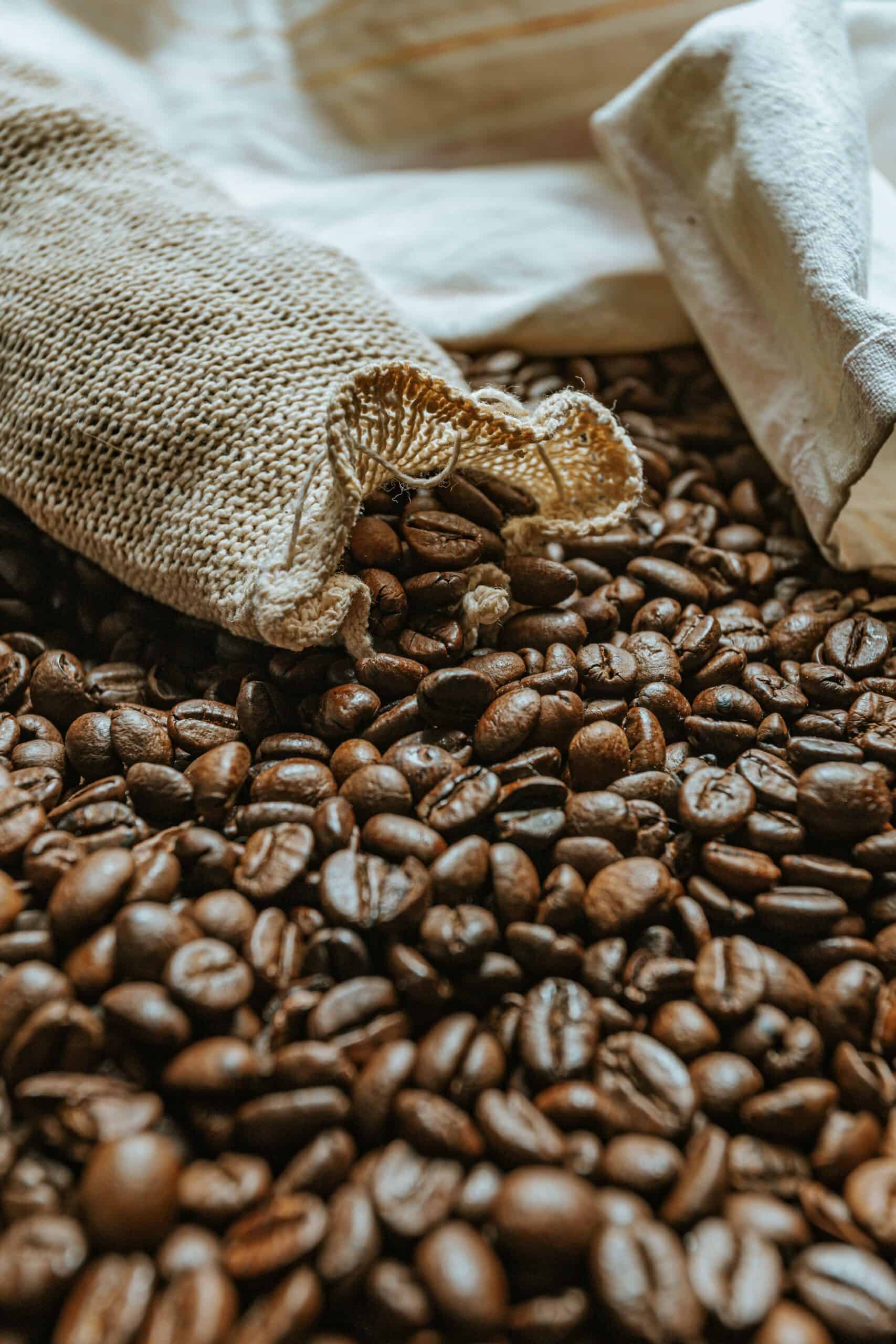 Granos de café venezolano en plantación, sector que busca recuperar su lugar en el mercado mundial