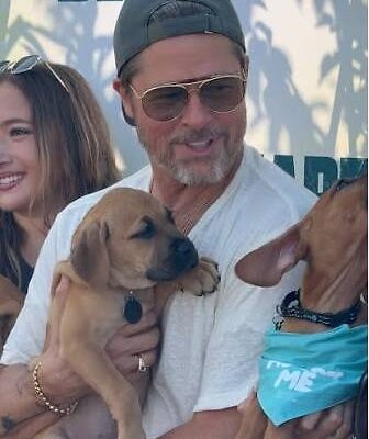 Brad Pitt se dejó robar el show por unos cachorros