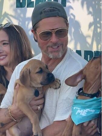 Brad Pitt se dejó robar el show por unos cachorros