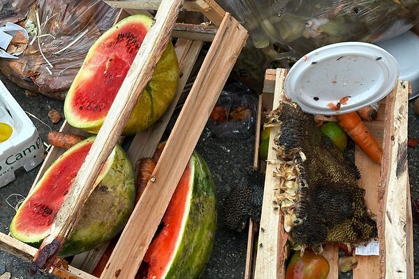 El mundo desperdicia más de 1.000 millones de comidas al día