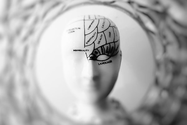 El mapa del cerebro que puede cambiar la medicina