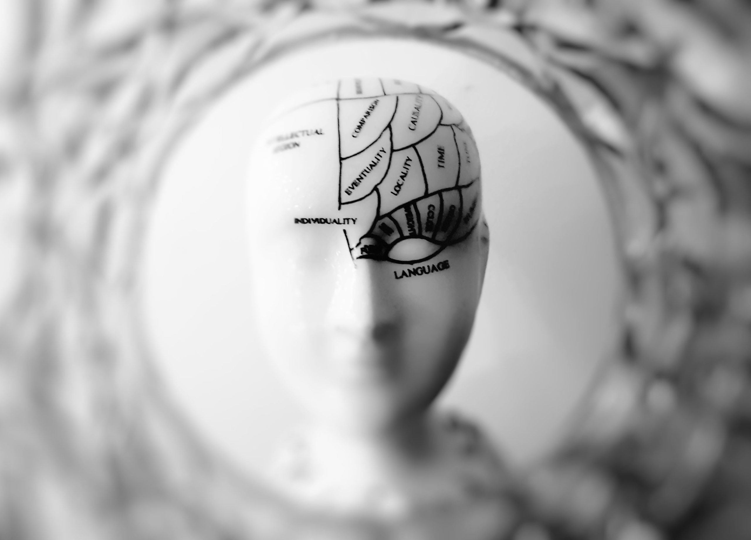 El mapa del cerebro que puede cambiar la medicina