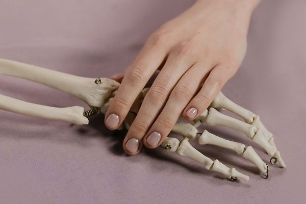 Una imagen en primer plano de una mano humana tocando una mano esquelética sobre un fondo suave.