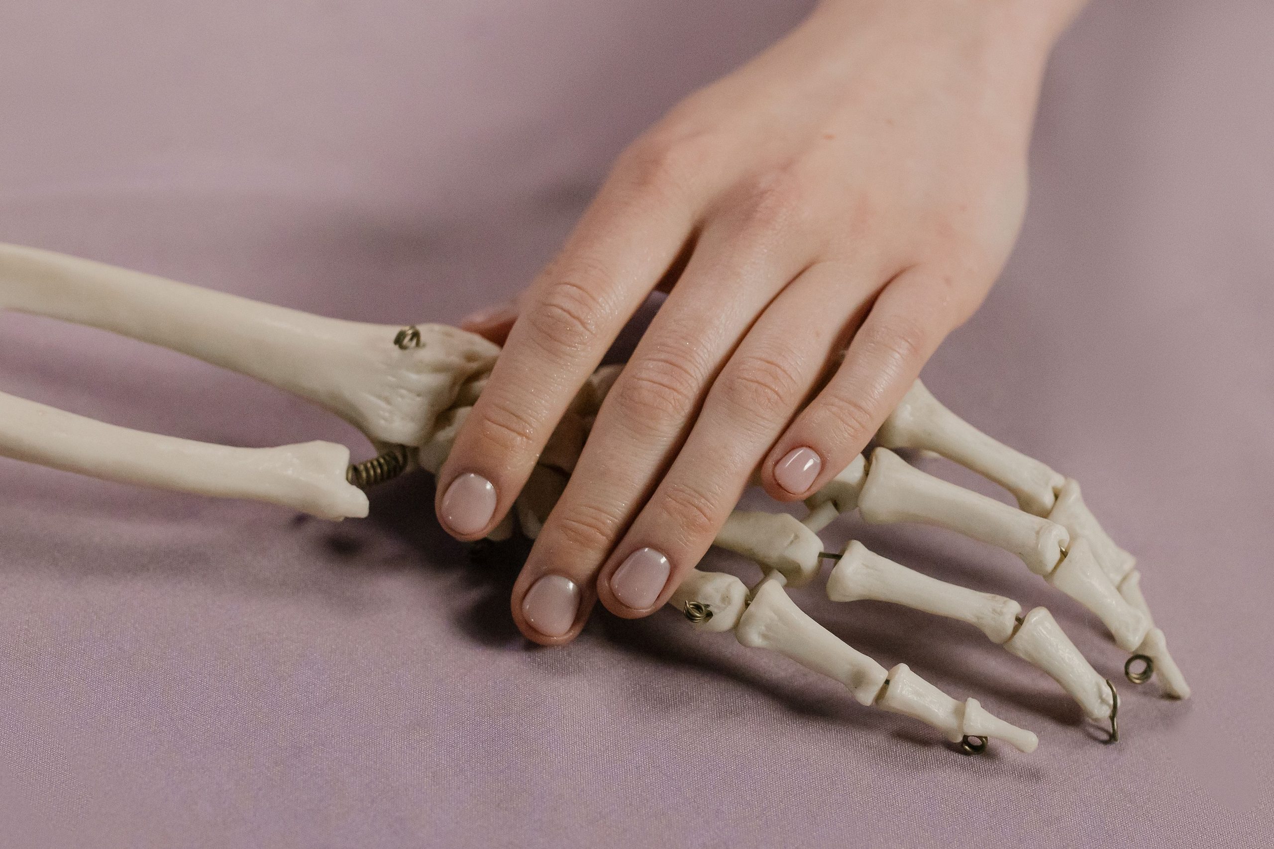 Una imagen en primer plano de una mano humana tocando una mano esquelética sobre un fondo suave.