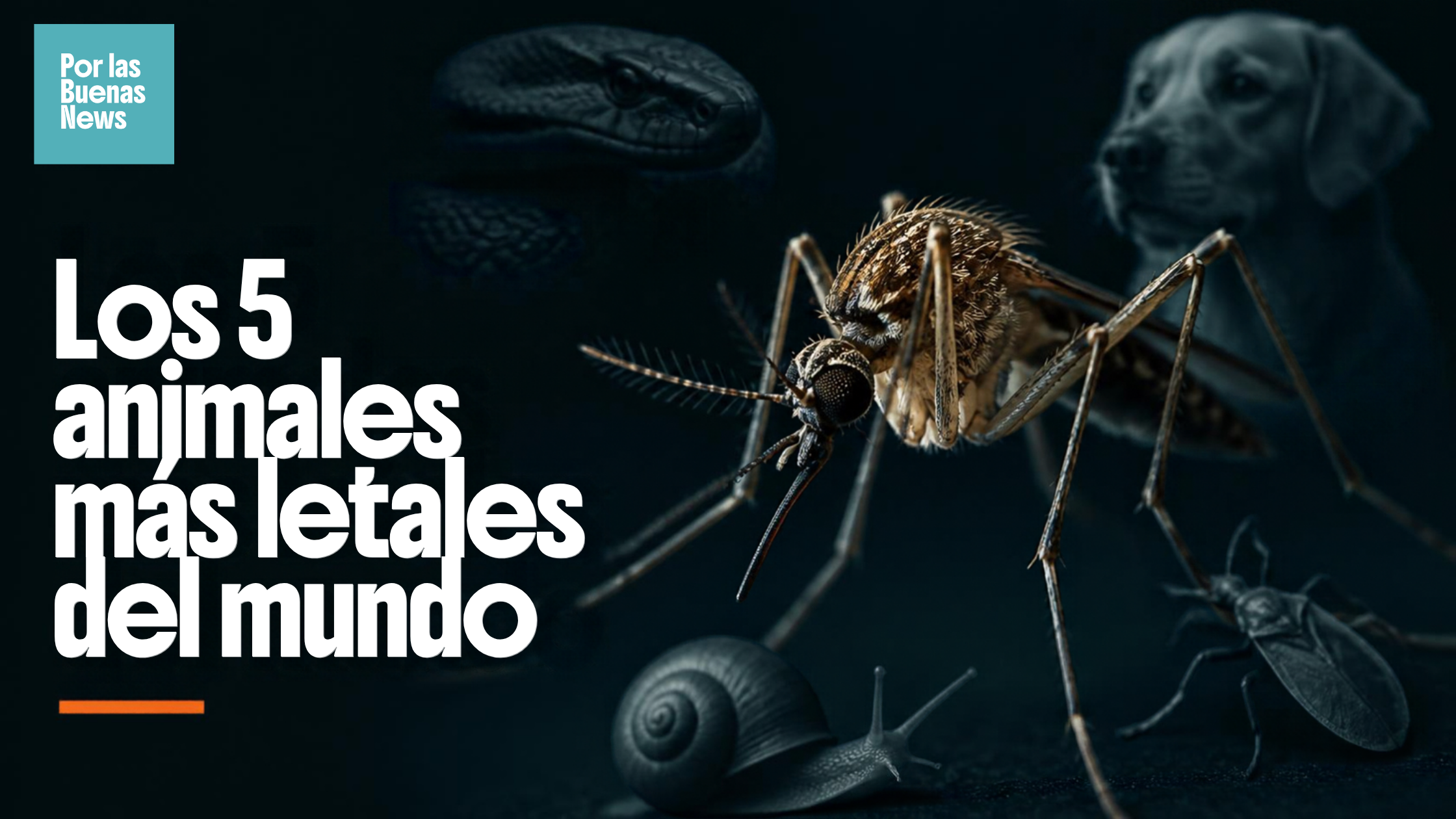 Los 5 animales más letales del mundo: el primero causa cientos de miles de muertes cada año