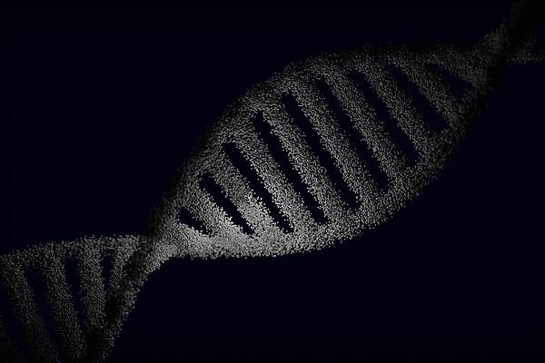 Mal-ID: la inteligencia artificial que busca identificar enfermedades a través del sistema inmunológico