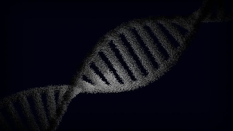 Mal-ID: la inteligencia artificial que busca identificar enfermedades a través del sistema inmunológico